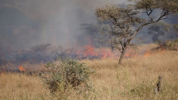 Unbekanntes Tansania 5