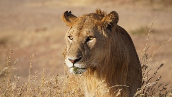 Unbekanntes Tansania 1