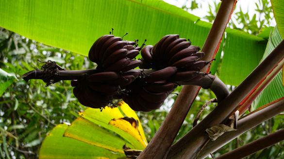 Unbekanntes Tansania 4