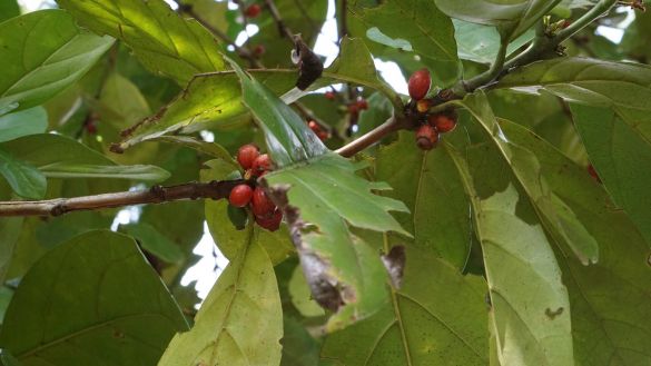 Unbekanntes Tansania 3