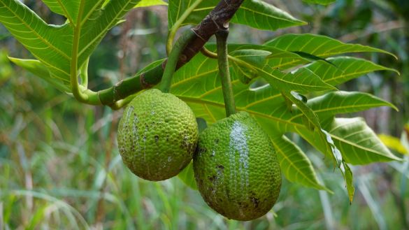 Unbekanntes Tansania 2