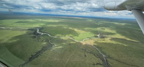 Die Magie des Mahale-Mountains-Nationalpark 13