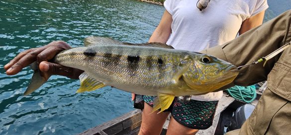 Die Magie des Mahale-Mountains-Nationalpark 8