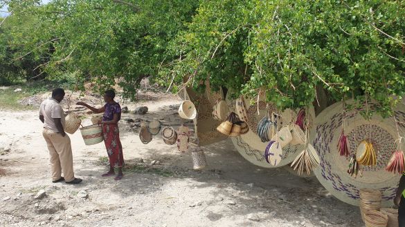 Einblicke in Tansanias Nationalparks 1