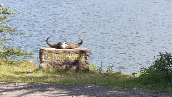 Einblicke in Tansanias Nationalparks 8