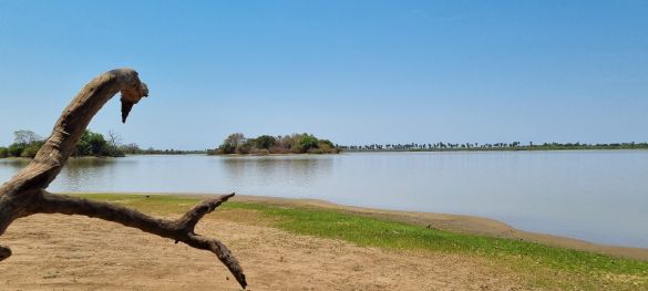 Single-Safari in Tansania - Abenteuer trifft Herz* 12