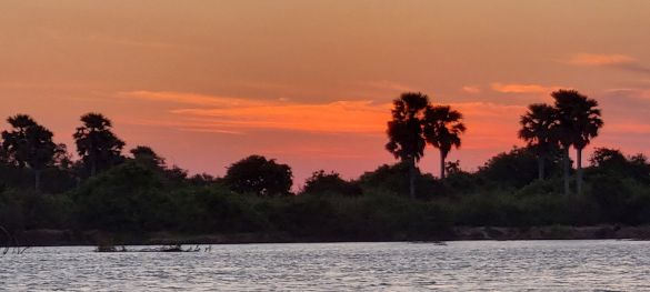 Single-Safari in Tansania - Abenteuer trifft Herz* 9