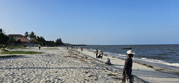 Single-Safari in Tansania - Abenteuer trifft Herz* 8