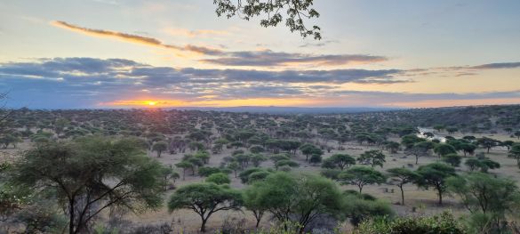 Tansanias Tierparadiese / Gruppenreise 7