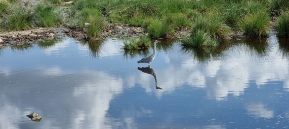 Tansanias Tierparadiese / Gruppenreise 10