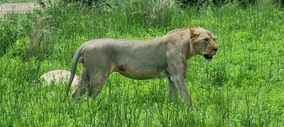 Zentral- und Süd Tansania / Flugsafari 9