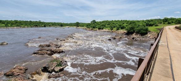 Zentral- und Süd Tansania / Flugsafari 4