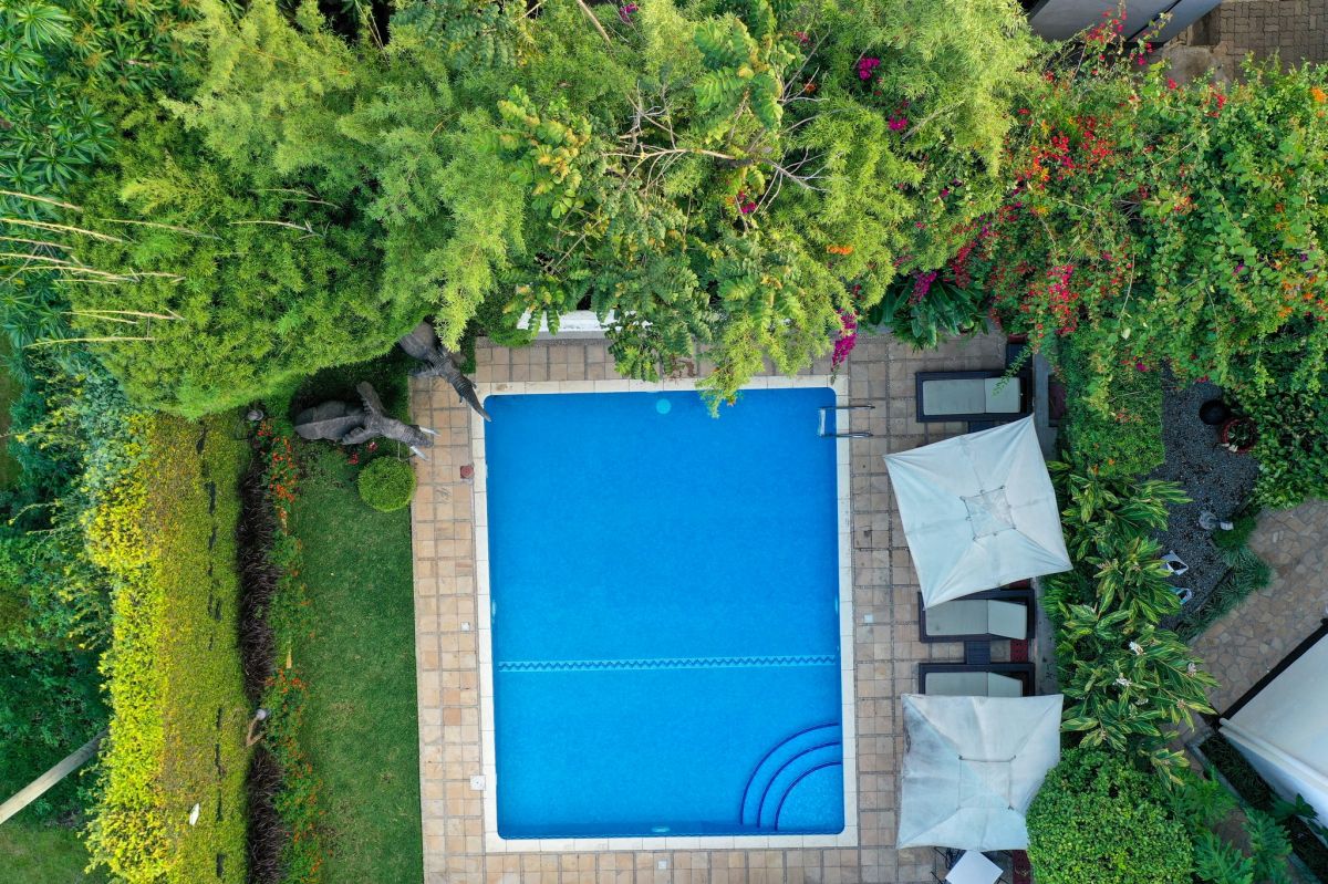 The African Tulip / Arusha 4