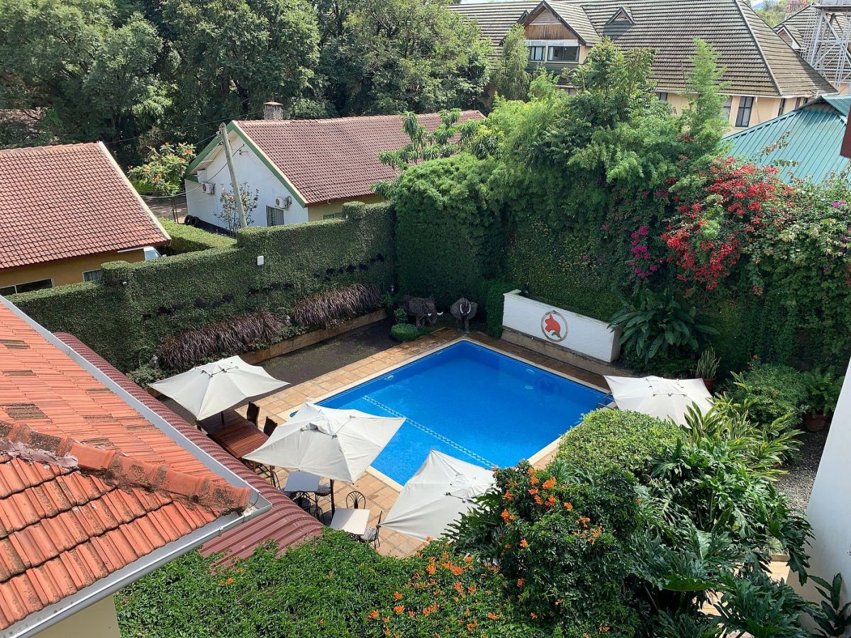 The African Tulip / Arusha 13