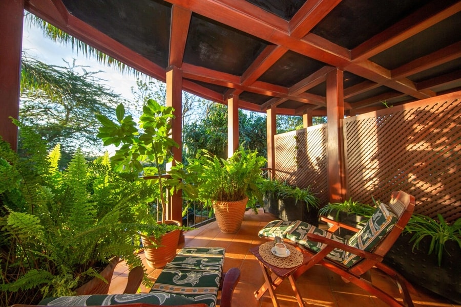 The African Tulip / Arusha 3