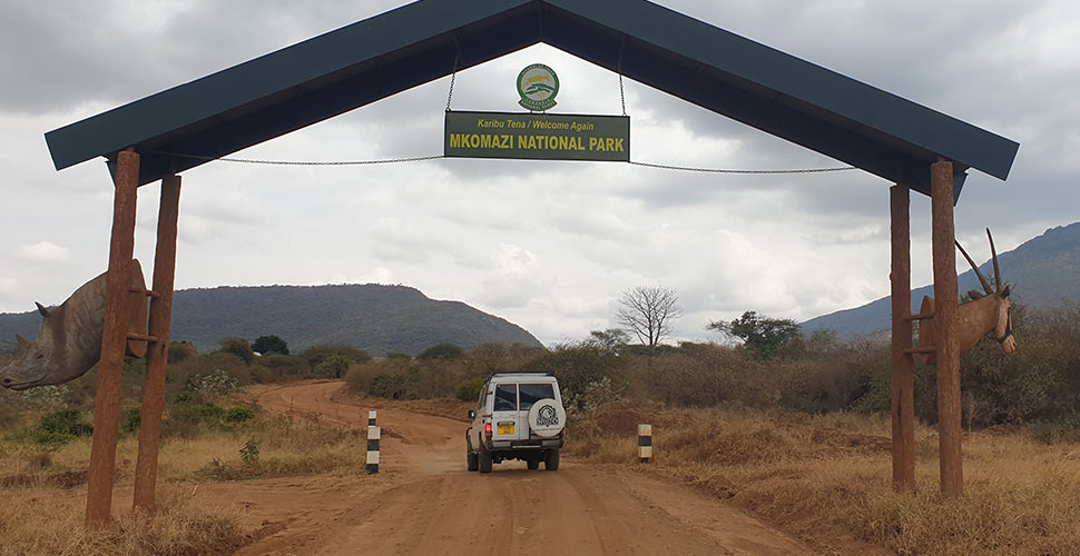 Babu´s Camp / Mkomazi National Park 5