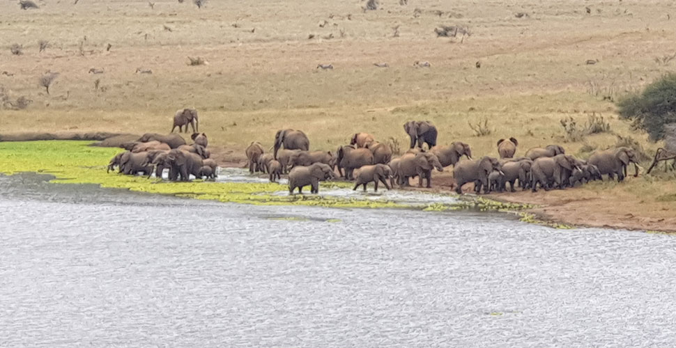 Babu´s Camp / Mkomazi National Park 10