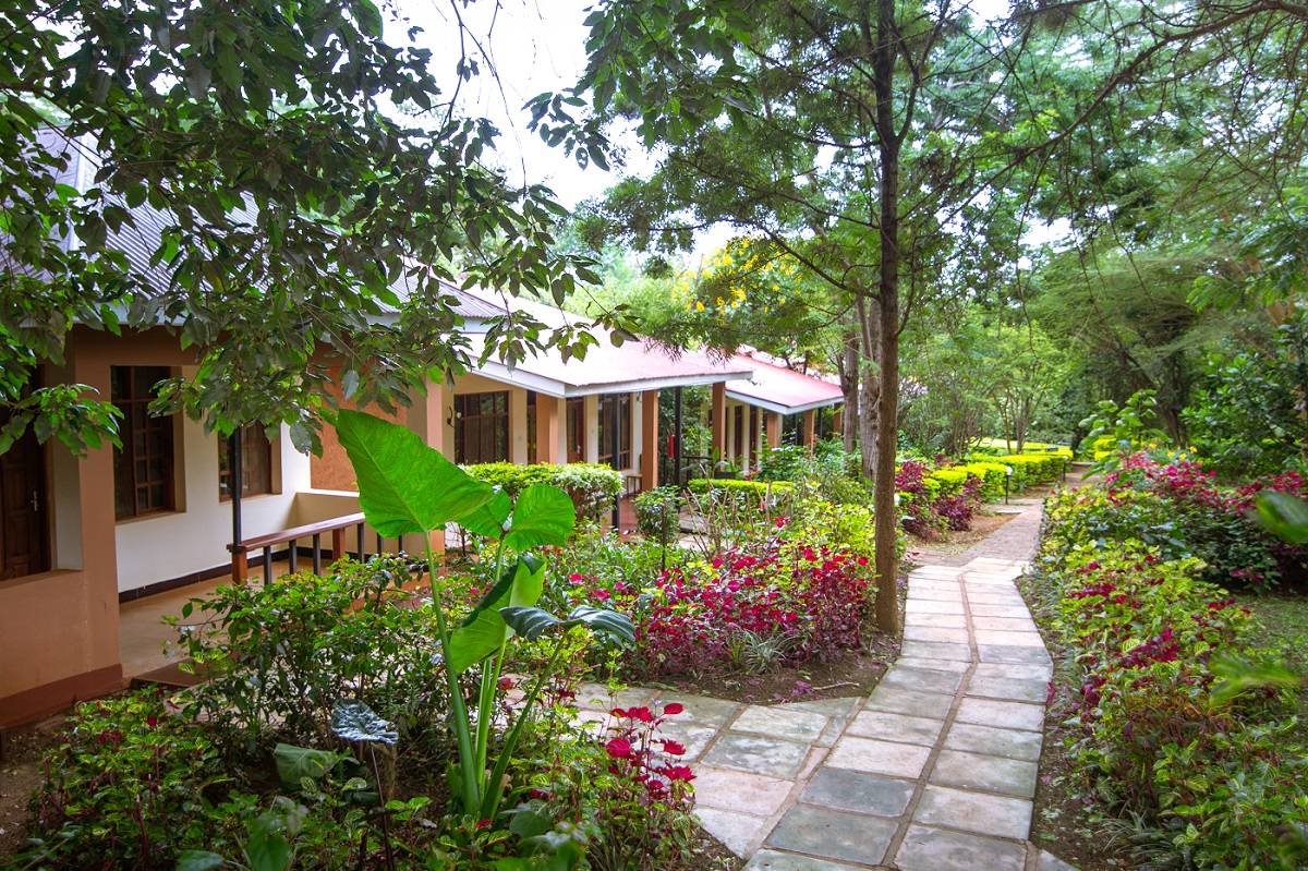 Eileen’s Trees Inn / Karatu 22