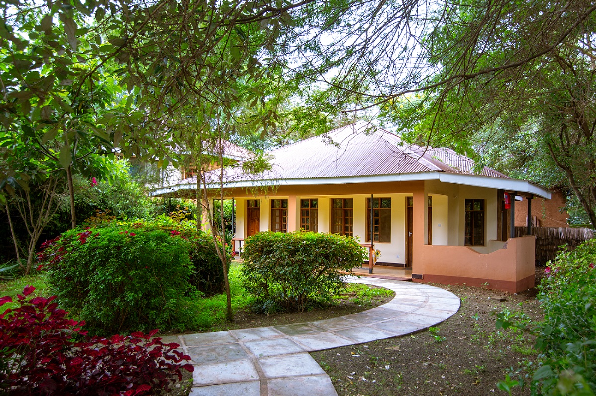 Eileen’s Trees Inn / Karatu 2