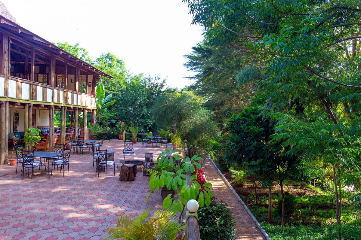 Eileen’s Trees Inn / Karatu 14