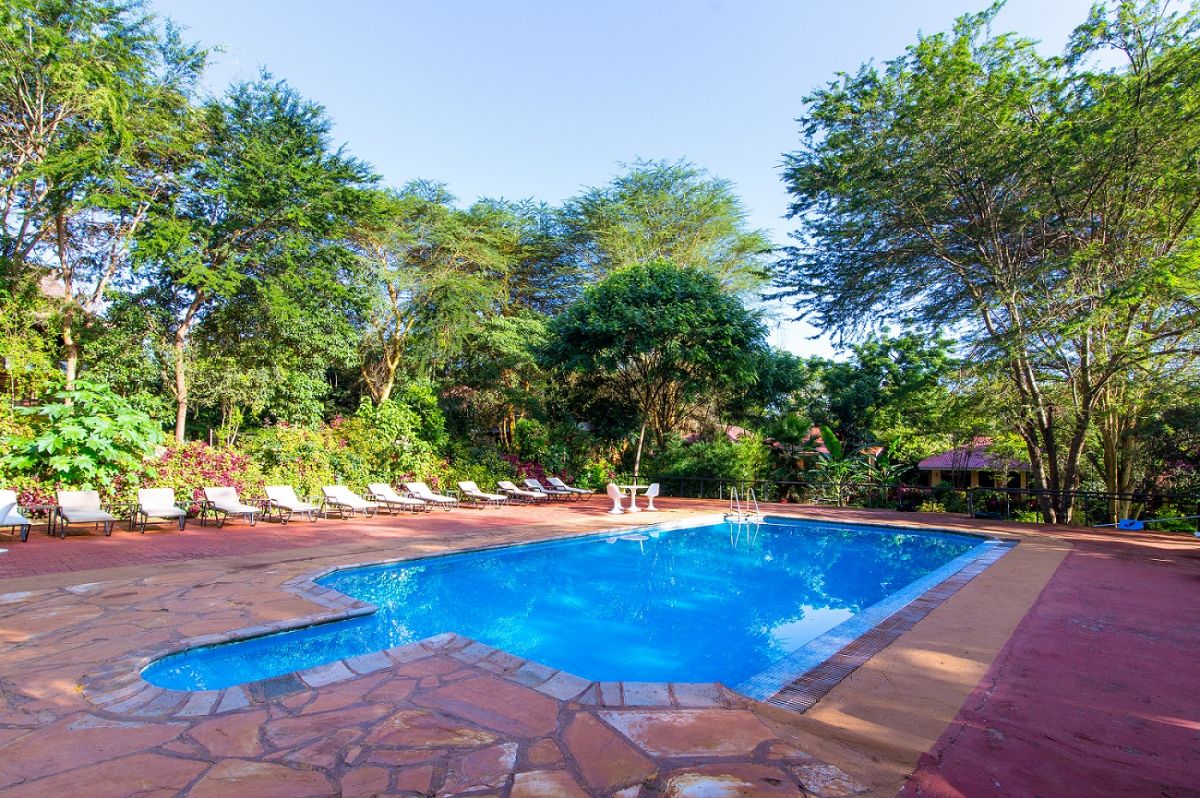 Eileen’s Trees Inn / Karatu 24