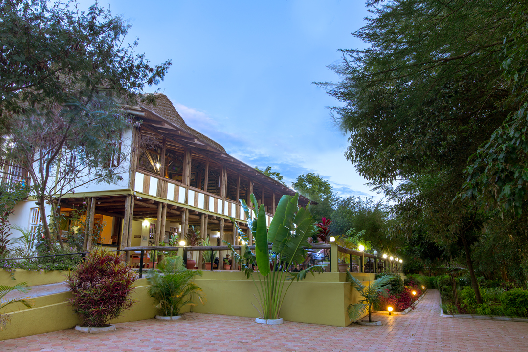 Eileen’s Trees Inn / Karatu 15