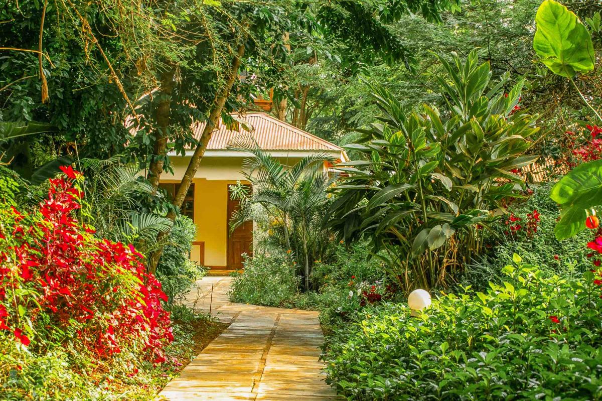 Eileen’s Trees Inn / Karatu 7