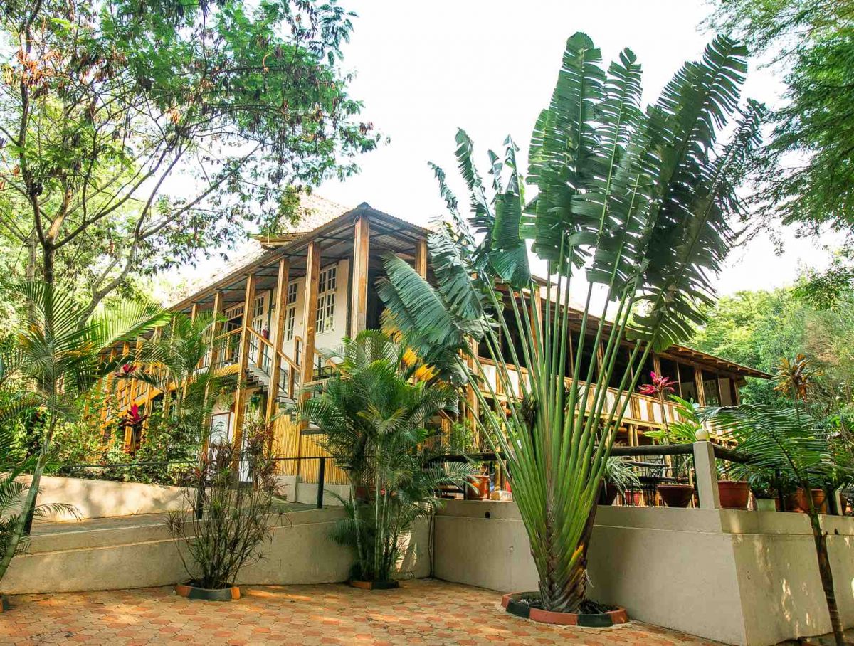 Eileen’s Trees Inn / Karatu 9