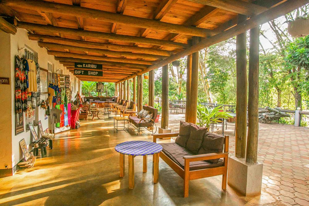 Eileen’s Trees Inn / Karatu 1