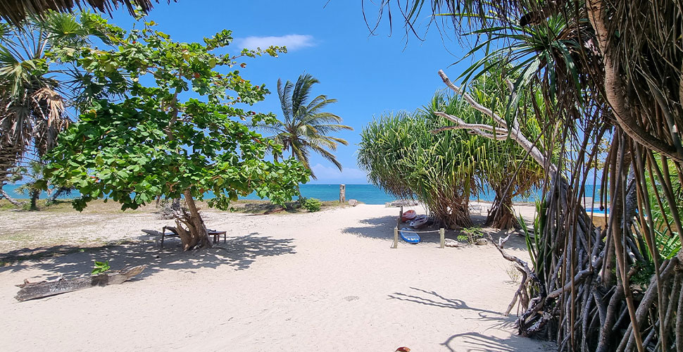 Emayani Beach Lodge / Pangani 5