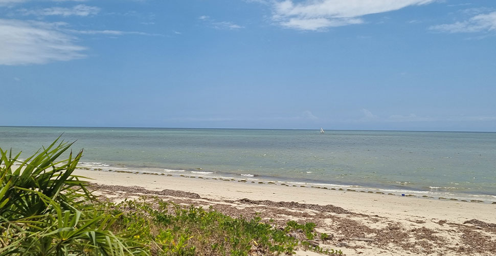 Emayani Beach Lodge / Pangani 7