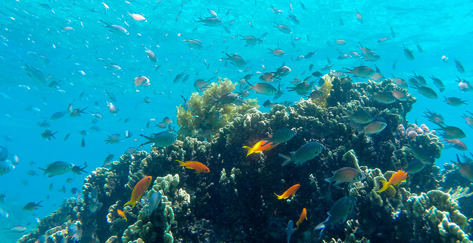 LABA Fanjove Island  / Songo Songo Archipel 2