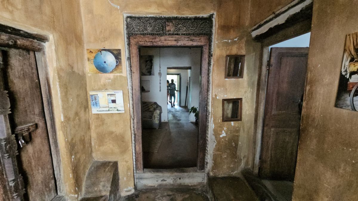 Firefly / Bagamoyo 11