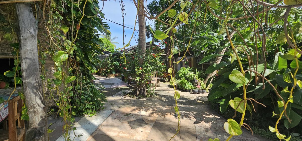 Firefly / Bagamoyo 20