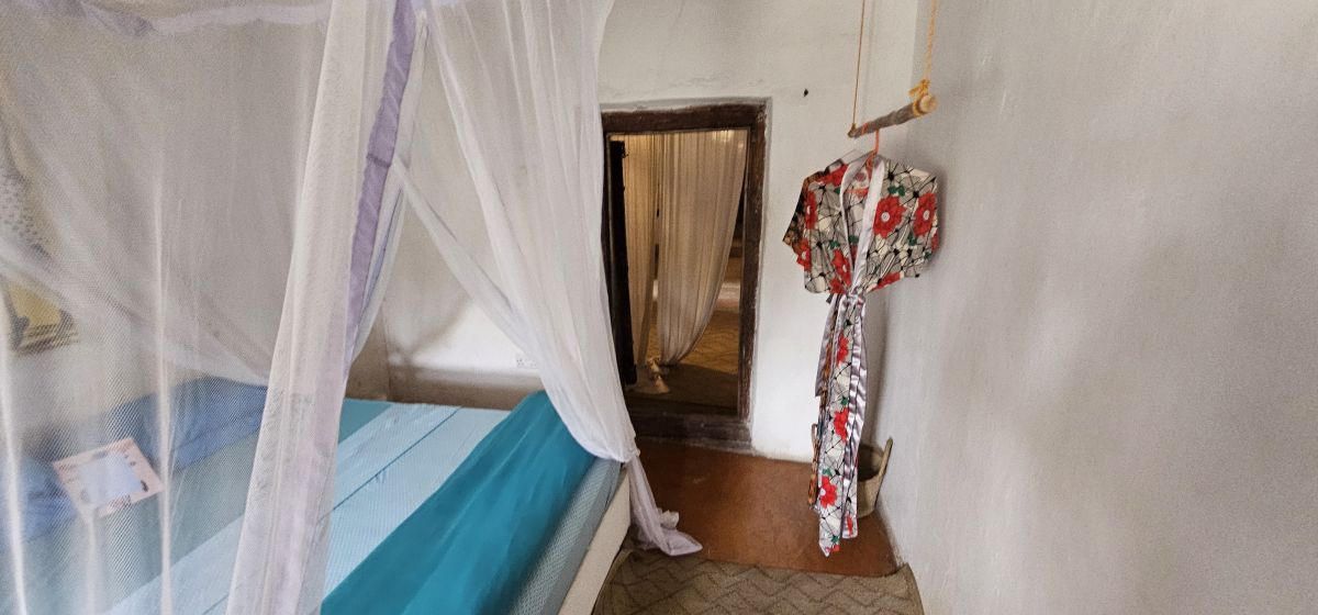 Firefly / Bagamoyo 19