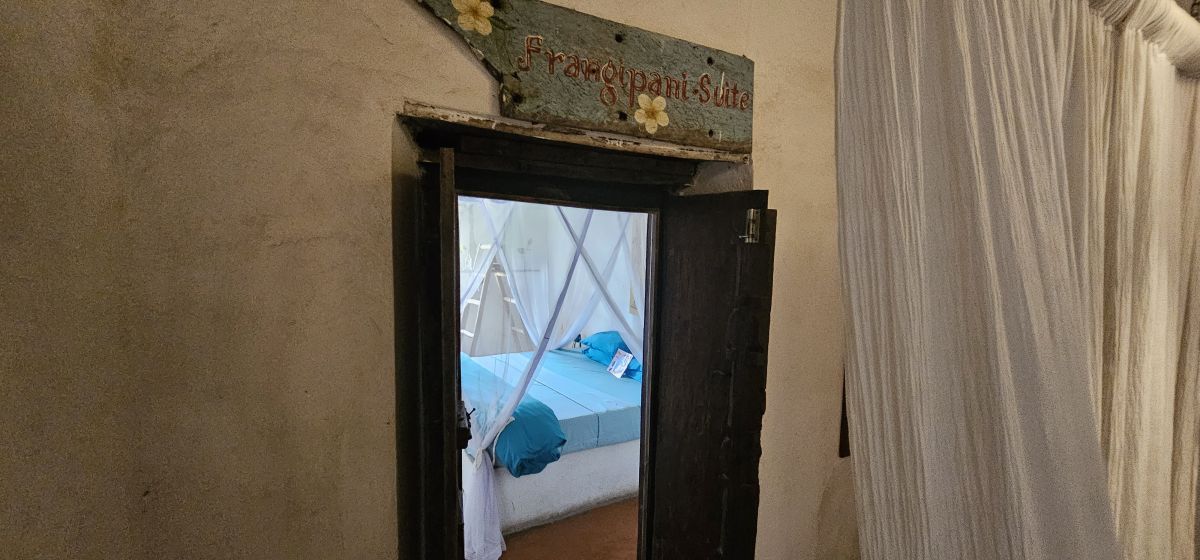 Firefly / Bagamoyo 23