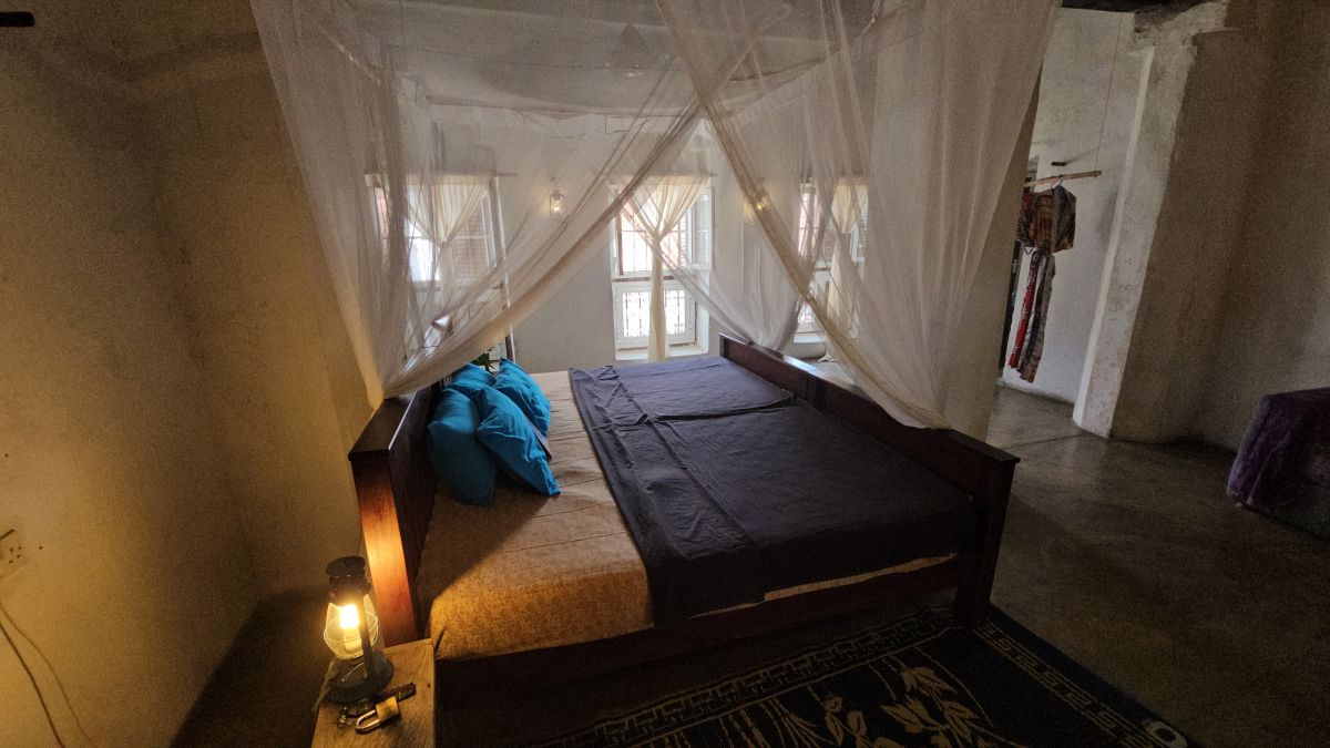 Firefly / Bagamoyo 13