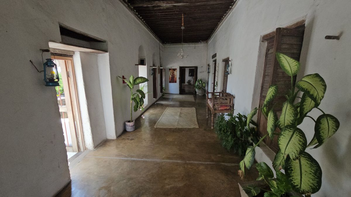 Firefly / Bagamoyo 12