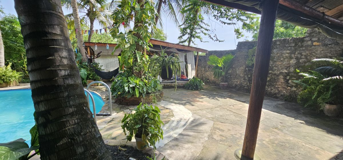 Firefly / Bagamoyo 24