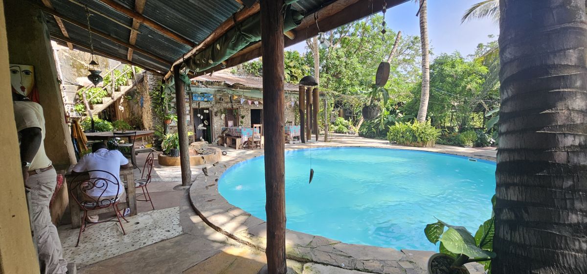 Firefly / Bagamoyo 3