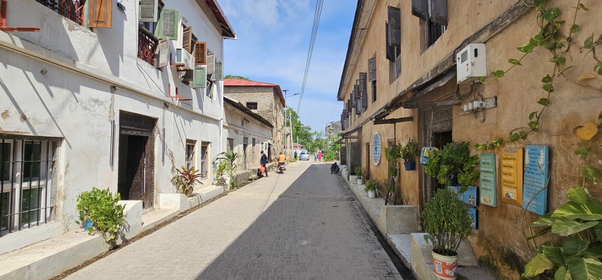 Firefly / Bagamoyo 21