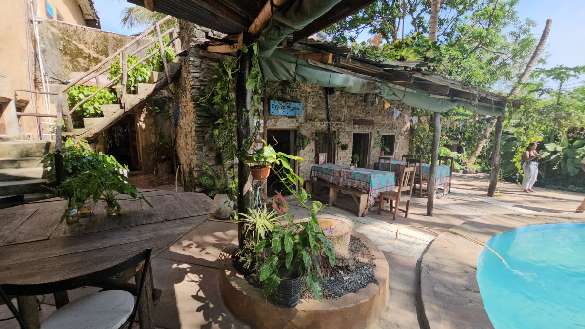 Firefly / Bagamoyo 9