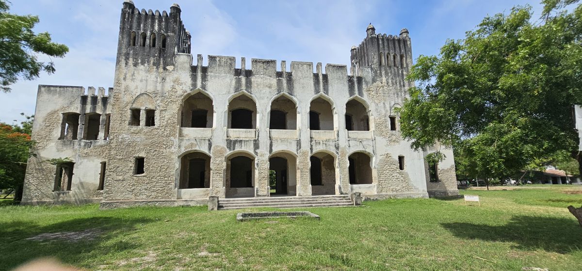 Firefly / Bagamoyo 17