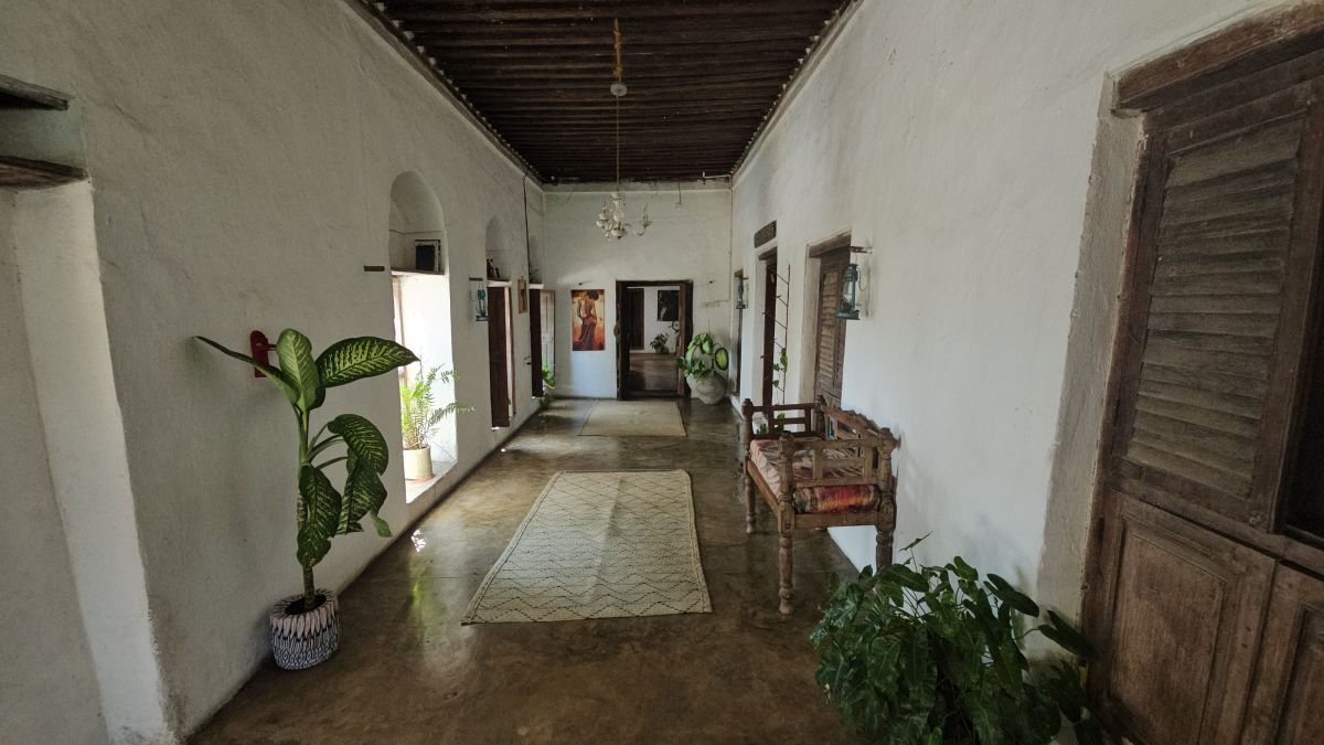 Firefly / Bagamoyo 4