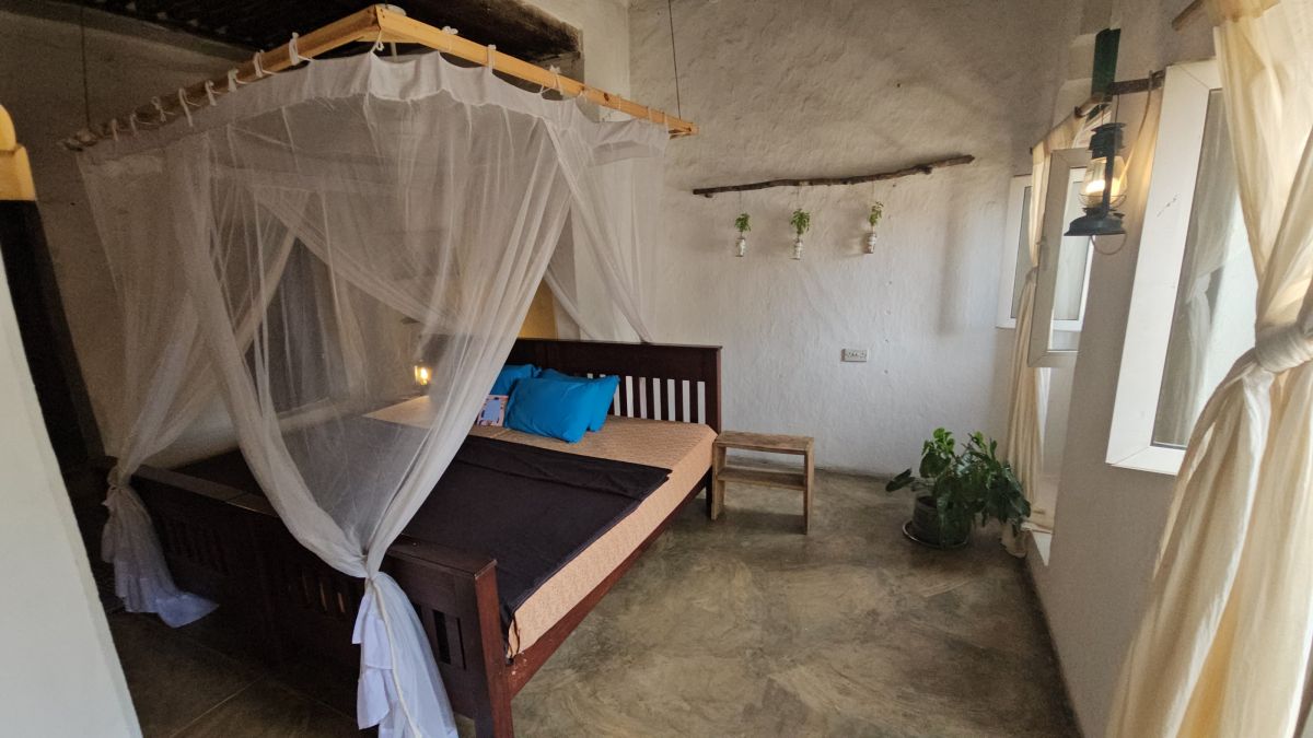 Firefly / Bagamoyo 16