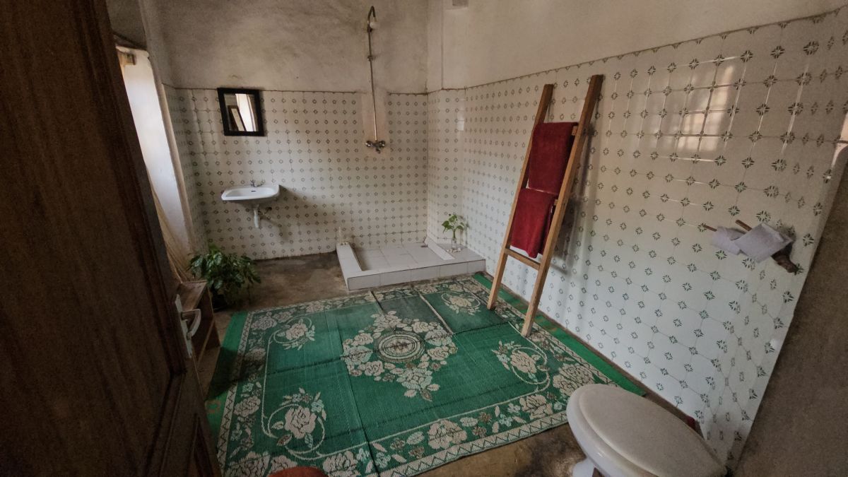 Firefly / Bagamoyo 10