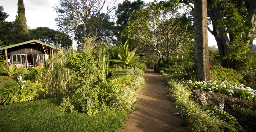 Gibb´s Farm / Karatu 5