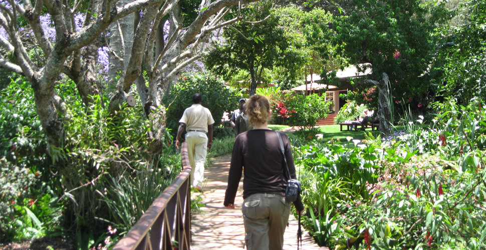 Gibb´s Farm / Karatu 6