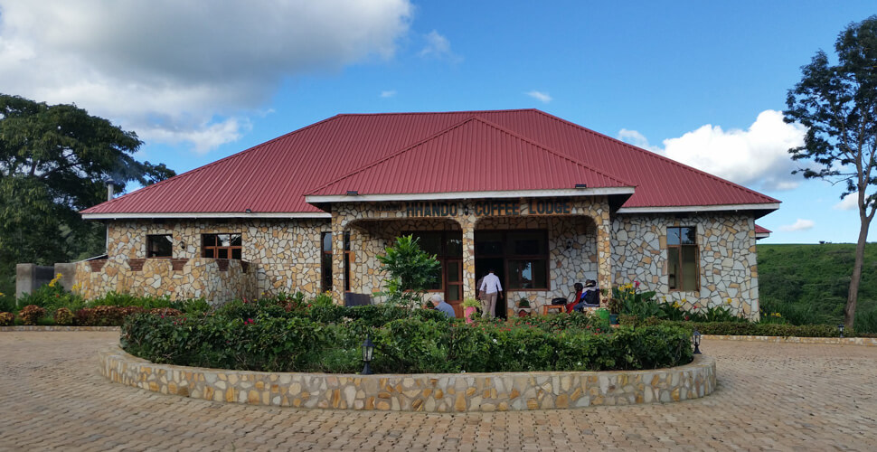 Hhando Coffee Lodge / Karatu 1