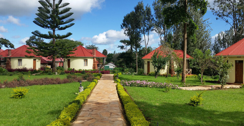 Hhando Coffee Lodge / Karatu 2